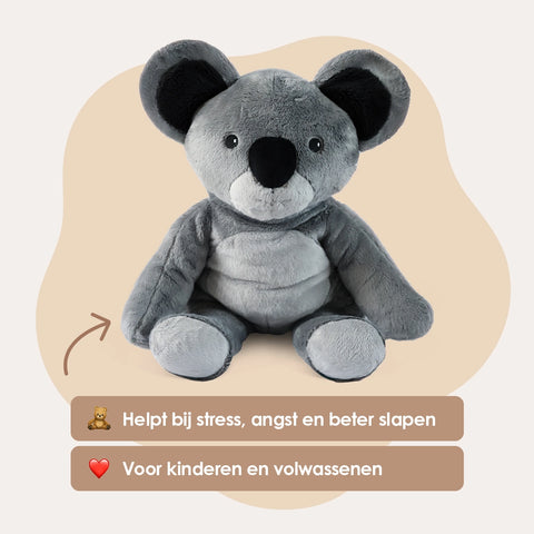 Lotgenootje Koala 2kg