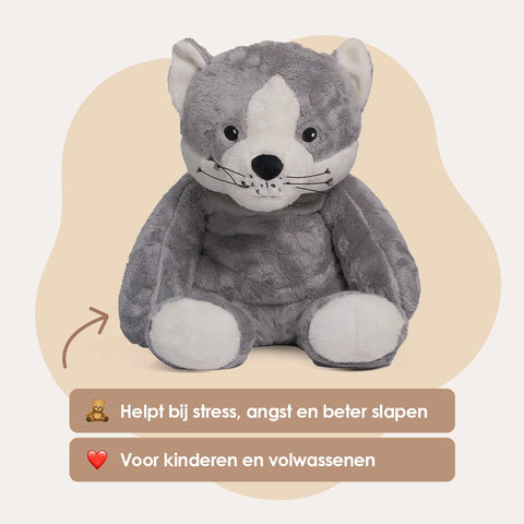 Lotgenootje Kat 2kg