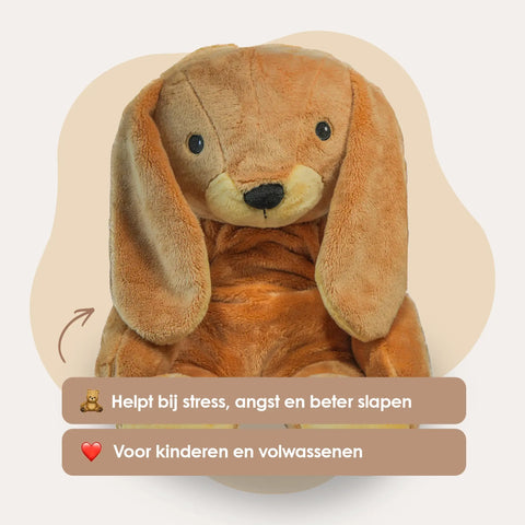 Lotgenootje Konijn 2kg