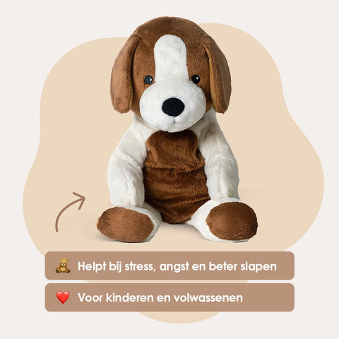 Lotgenootje Hond 2kg