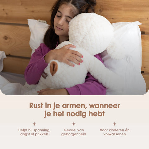 Lotgenootje Schaap 2kg