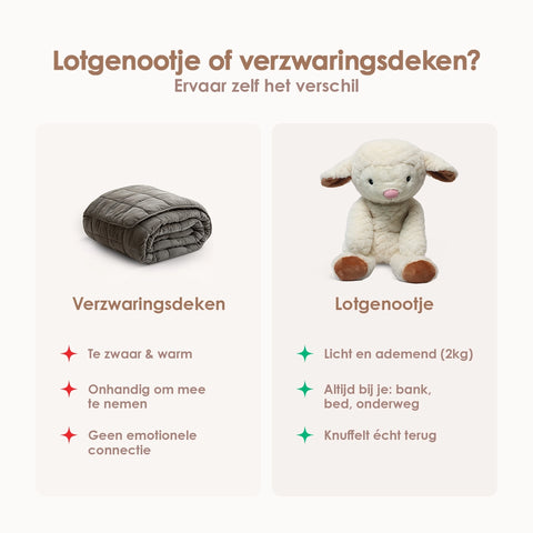 Lotgenootje Schaap 2kg