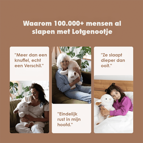 Lotgenootje Schaap 2kg