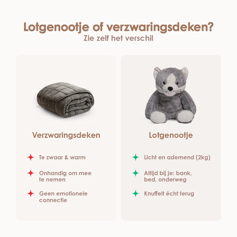 Lotgenootje Kat 2kg