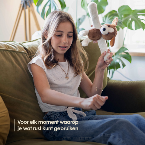 Mini Lotgenootje Hond