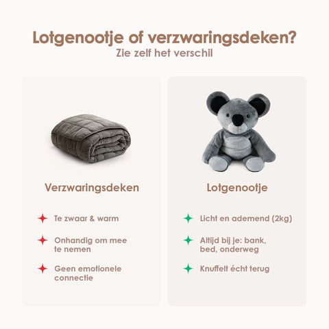 Lotgenootje Koala 2kg