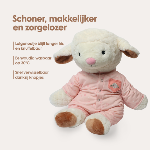 img-dutch