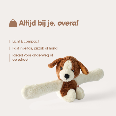 Mini & Grote hond - Je bespaart €20