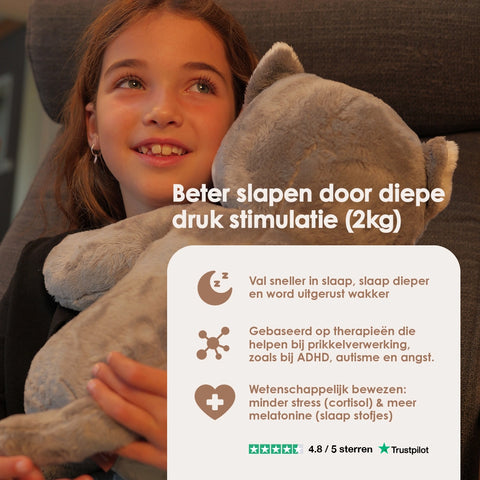 Lotgenootje Kat 2kg