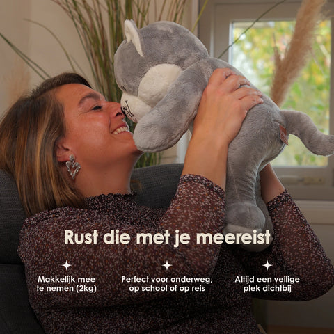 Lotgenootje Kat 2kg