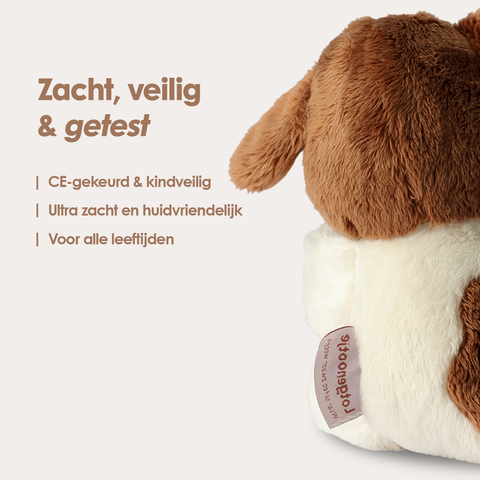 Mini Lotgenootje Hond