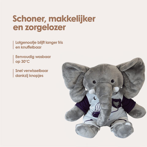 img-dutch
