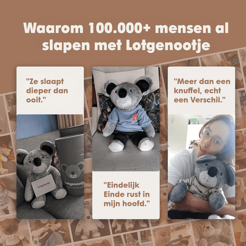 Lotgenootje Koala 2kg