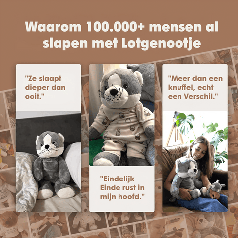 Lotgenootje Kat 2kg