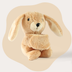 Mini Lotgenootje Rabbit