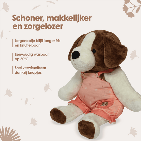 img-dutch