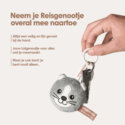 img-dutch