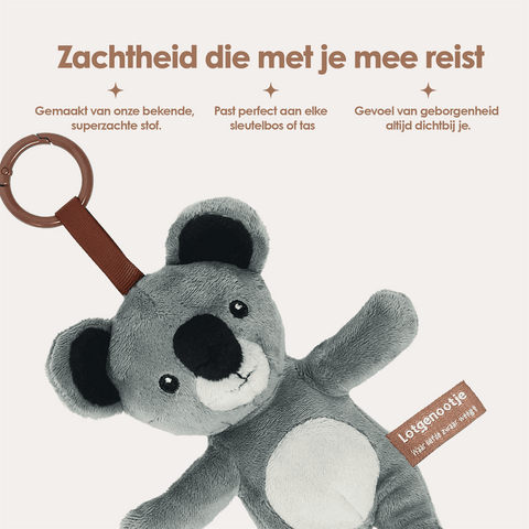 img-dutch