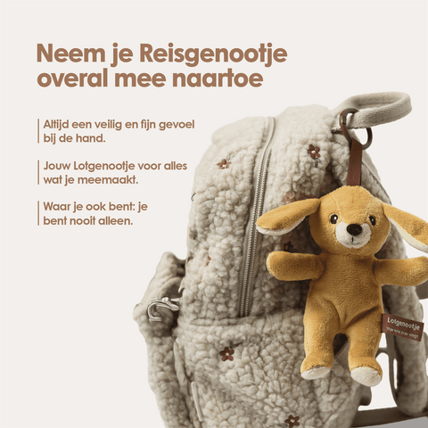 img-dutch