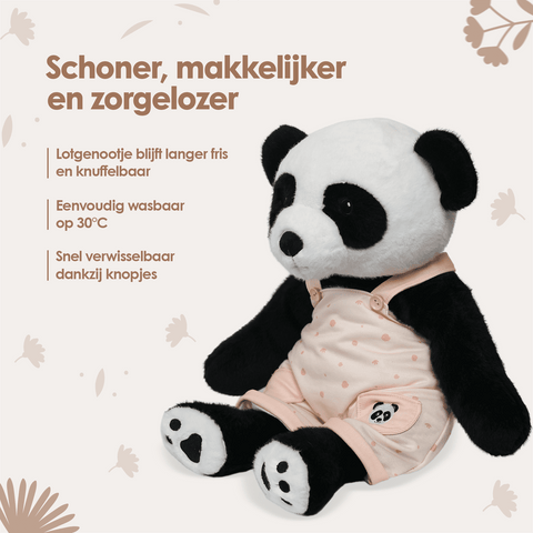 img-dutch