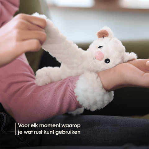img-dutch