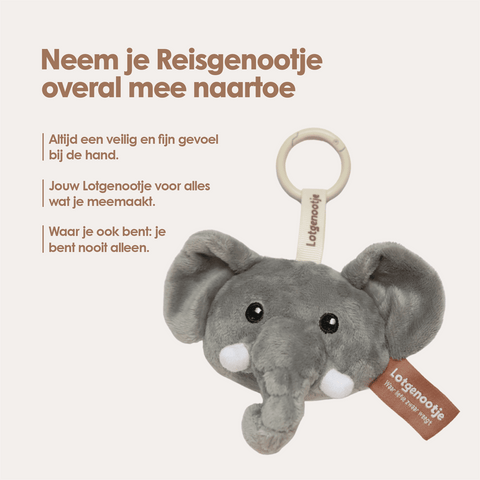 img-dutch