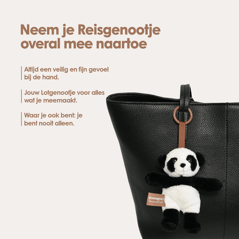 img-dutch