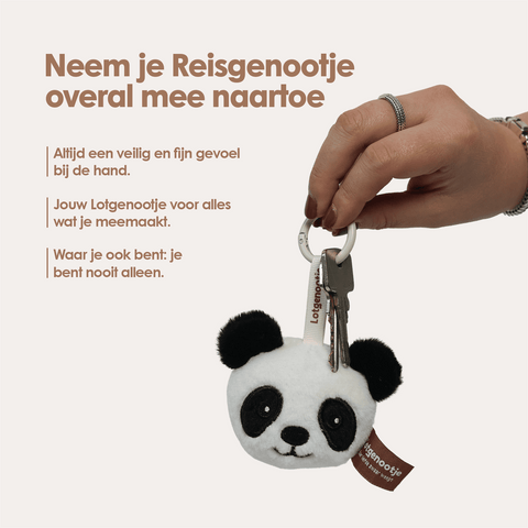 img-dutch