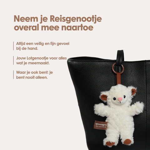 img-dutch