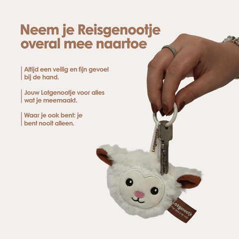 img-dutch
