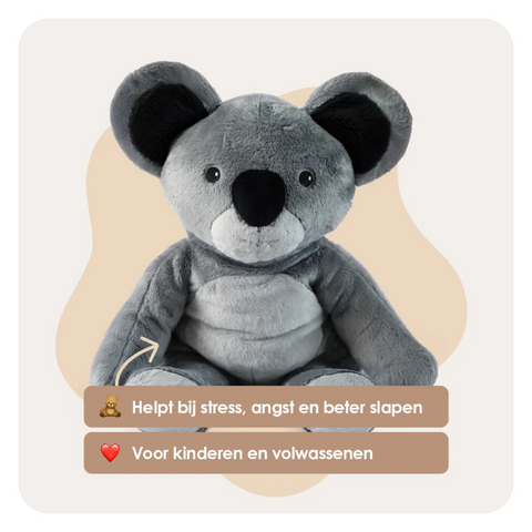De beste Lotgenootje deal – Alle 4 Lotgenootjes in 1 - Je bespaart €70
