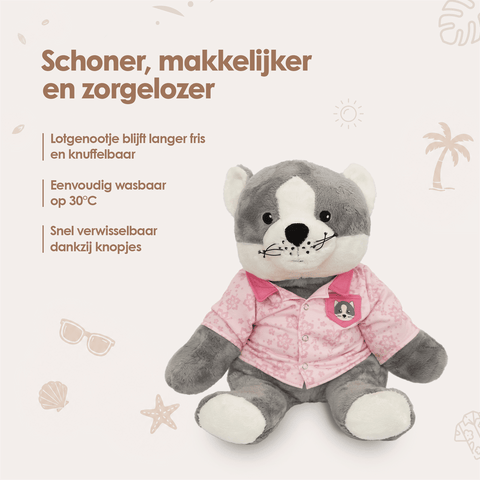 img-dutch