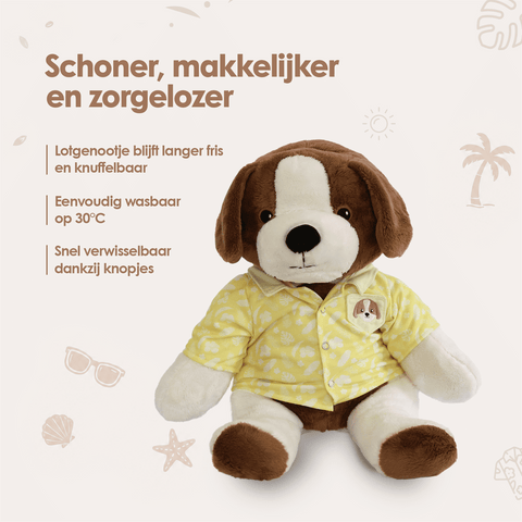 img-dutch