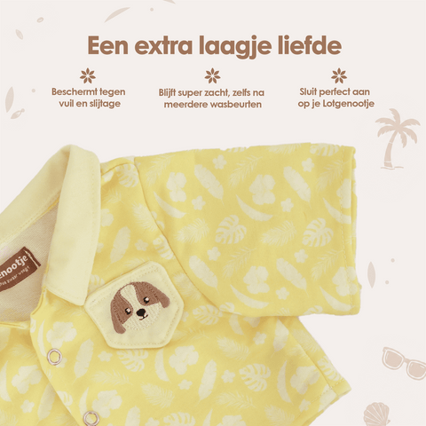 img-dutch