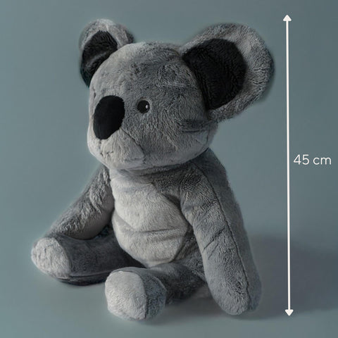 Lotgenootje Koala 2kg