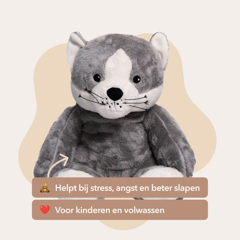 Mini & Grote kat - Je bespaart €20