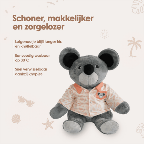 img-dutch