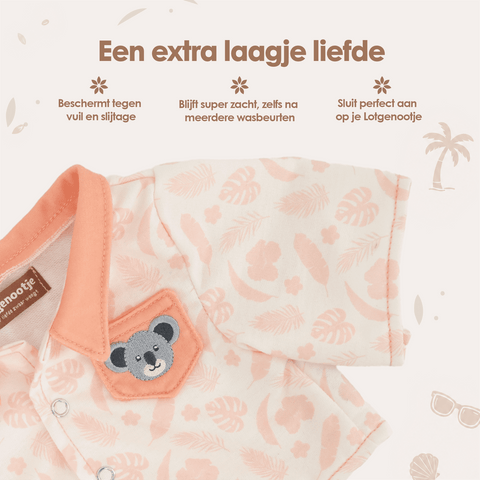 img-dutch