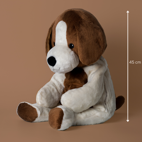 Lotgenootje Hond 2kg