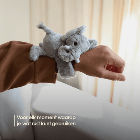 img-dutch