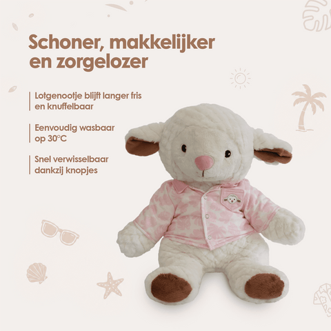 img-dutch