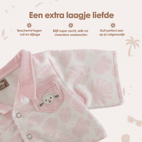 img-dutch