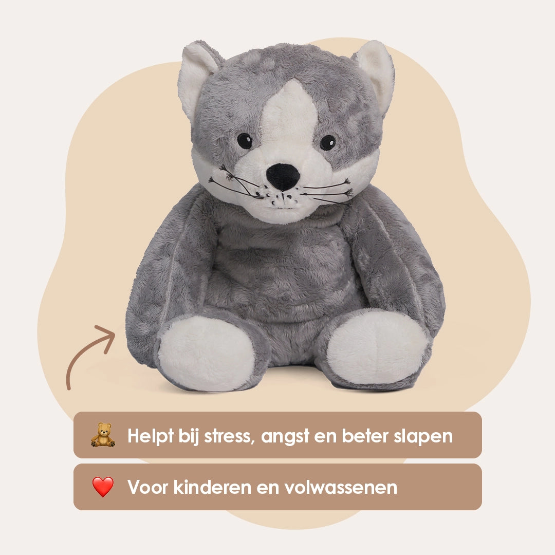img-dutch