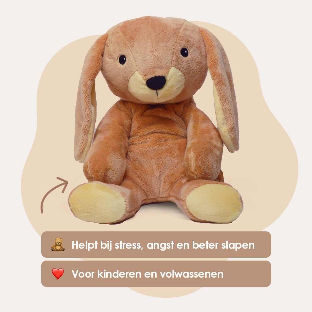 img-dutch
