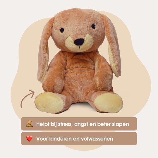 img-dutch