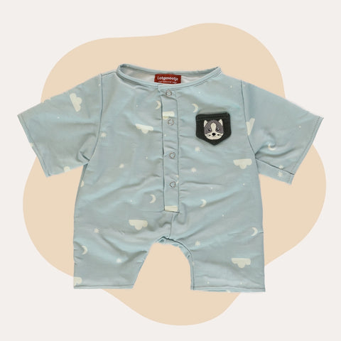 Kat Kleding Origineel Lotgenootje