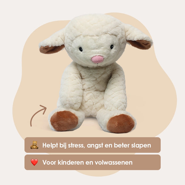 img-dutch