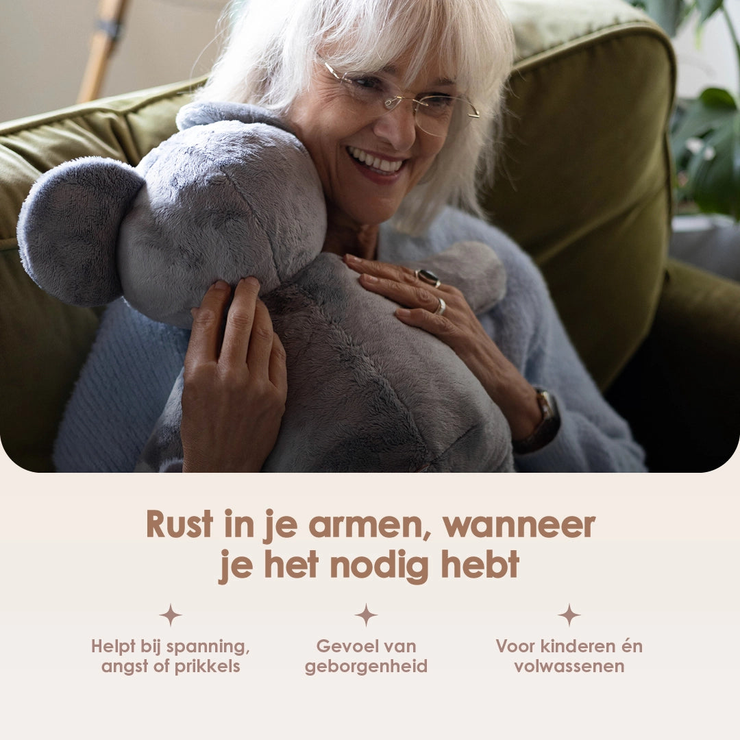 img-dutch