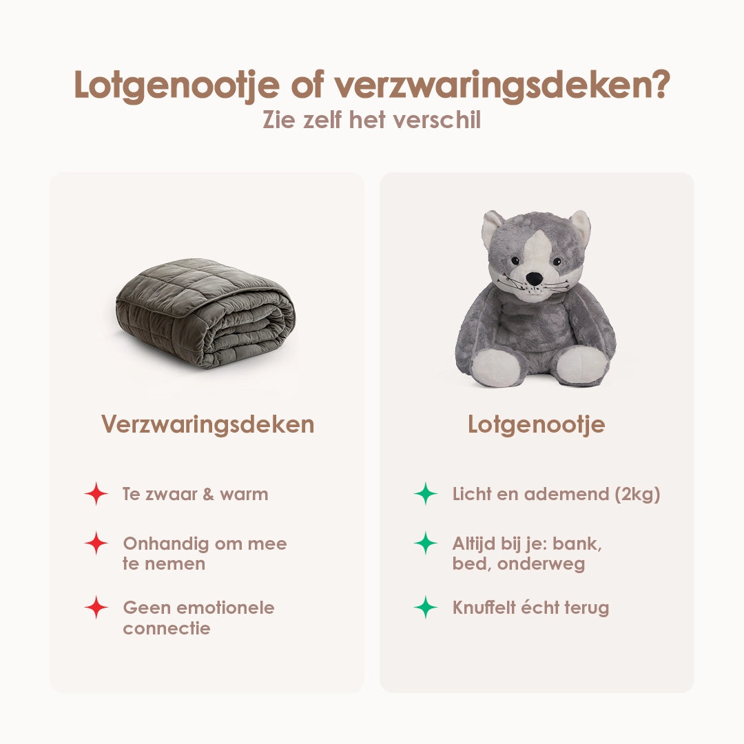 img-dutch