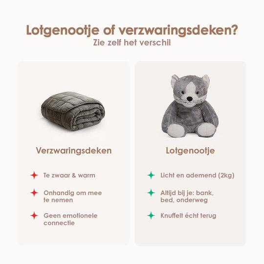 img-dutch